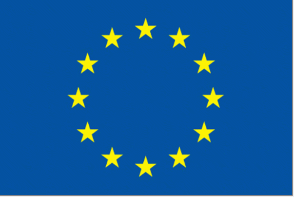 European flag